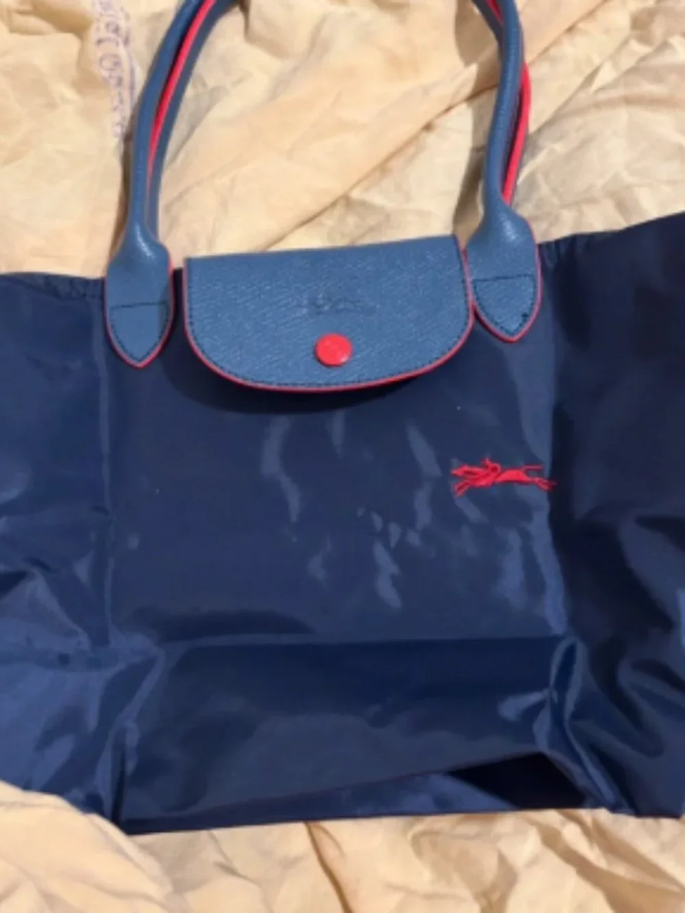 women longchamp bag size L